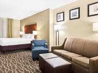 Comfort Suites Tampa Airport North Hotels near Lowry Park