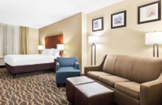 Comfort Suites Tampa Airport North Hotels near Steinbrenner Field