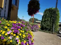 Galaxie Motel Hotels in Philomath