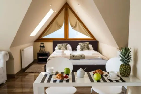 沙可潘尼中心塔拉斯SPA公寓