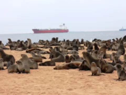 Amjicaja Guesthouse, Tours & Rentals Hotels in Walvis Bay