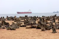 Amjicaja Guesthouse, Tours & Rentals Hotels in Walvis Bay