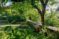 La Terre d'Or Hotels in Savigny-les-Beaune
