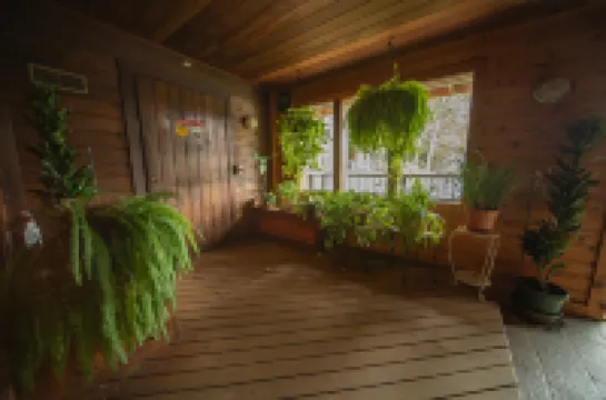 Ski Mountain Vistas and Cozy Living Space - Inviting Mountain Retreat