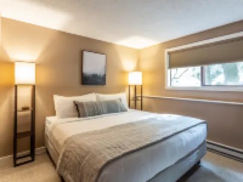 Modern Interior and Gas Fireplace - Cozy Mountain Retreat