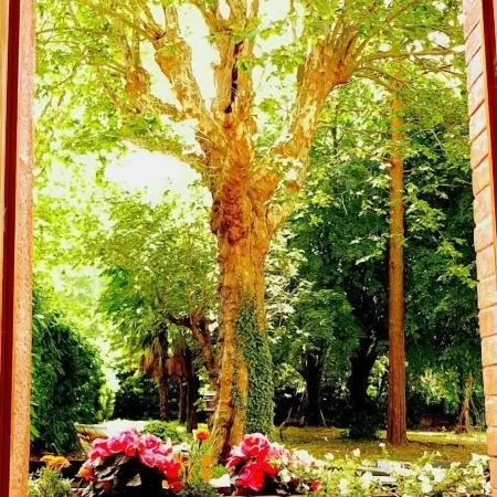 La Scierie
