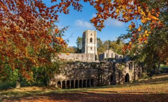 Central Ripon - Sleeps 3 - Garden - Pet Friendly