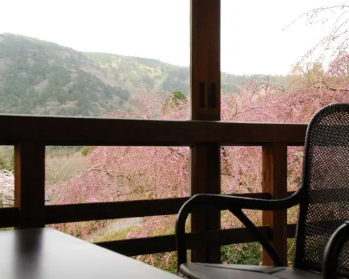 Hakone Kowakien Mikawaya Ryokan بالقرب من الفندق Photos