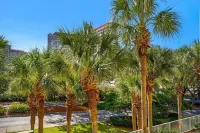 Summit at Tops'l 212