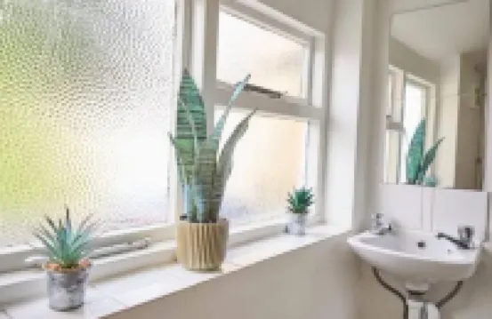 Host & Stay - Saint Peters