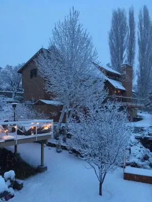 Spectacular skyline, river views from lovely yard. Bright and beautiful space.