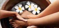Blue Bell Cochin Airport Hotel Hotels in Angamaly