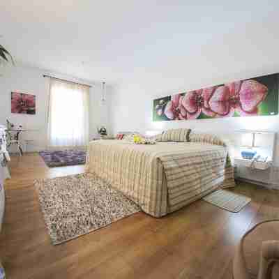 Operetta House Rooms