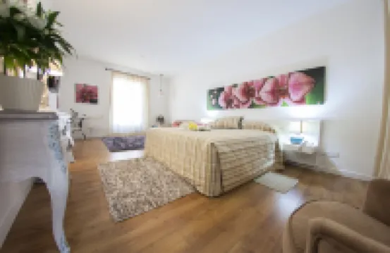 Operetta House Hotels in 
