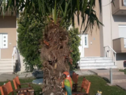 Hotel-Apartments la Strada โรงแรมในEvros