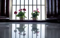 Hotel Alcázar de la Reina - カップル