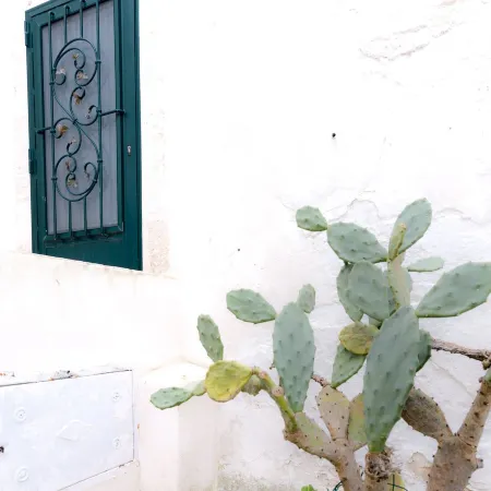 Casina Nina
