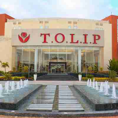 トリップ エル ナルゲス ホテル & スパ Hotel Exterior