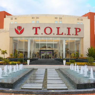 Tolip El Narges Hotels near Gravity Code