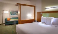 SpringHill Suites Houston I-45 North Hotels near Bordersville Park
