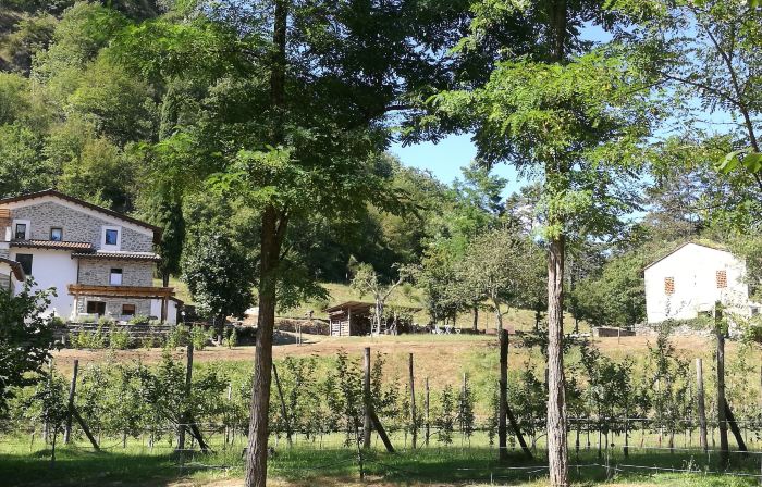 Agriturismo di là Dall'Acqua