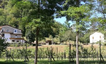 Agriturismo di là Dall'Acqua