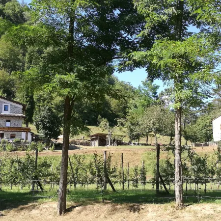 Agriturismo di là Dall'Acqua