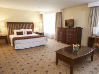 Hotel Torremayor Lyon Hotels near Las Condes