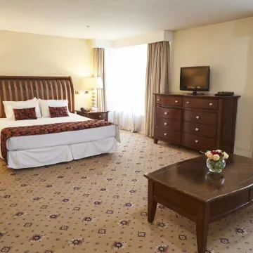 Hotel Torremayor Lyon