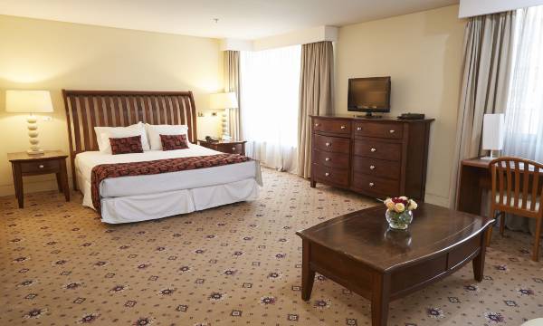 Hotel Torremayor Lyon