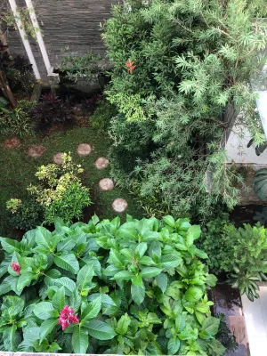 トロゴマス ゲスト ハウス DUCK RC DDR周辺のホテル