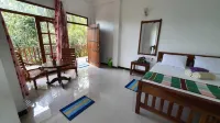 Turtle Paradise - Pet friendly