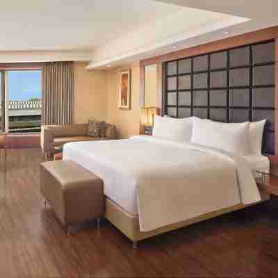 德里機場麗笙世嘉飯店 Rooms