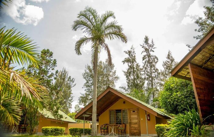 Meru View Lodge