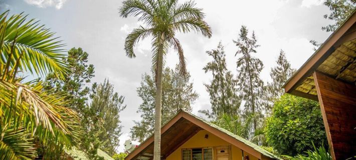 Meru View Lodge Hotels in Arumeru