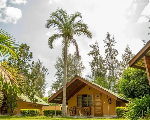 Meru View Lodge Hotels in Arumeru