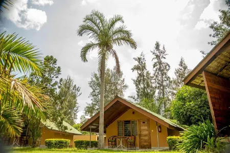 Meru View Lodge Отели в г. Arumeru