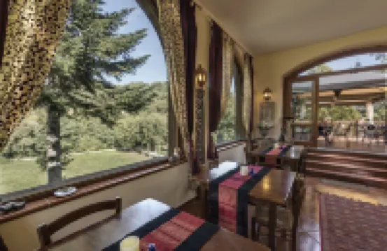 佳維雷波吉奧別墅酒店