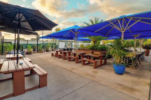 Esk Grand Hotel Hotels in Esk