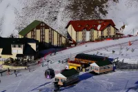 Dedeman Palandoken Resort Hotel Hotels in Palandoken