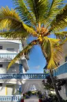 Coco Villa Hôtels à : 