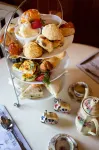 The Village B&B فنادق في Robina