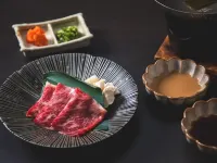 Kamisuwa Onsen Shinyu Hotels in Suwa