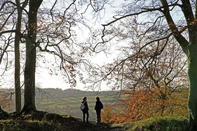 ホテル周辺 ロールストーン マナーの写真