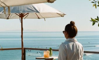 The Surfrider Malibu