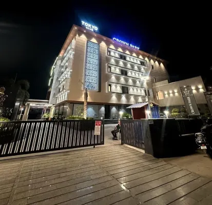 Crown Park Luxury Hotel Hotels in Bhilwara