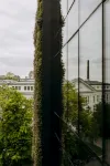 Nobu Hotel Warsaw - Romantische