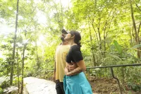 Jaguarundi Jungle Lodge - Monteverde