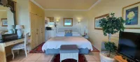 Roosboom Luxury Studio - with Sea View and Kitchen, Ideal for 2 Guests, Capetown