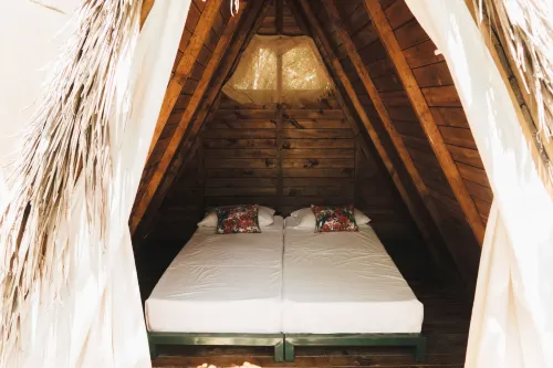 Tigrillo Rio Claroby LosColoresEcoparque Hotel a Puerto Triunfo